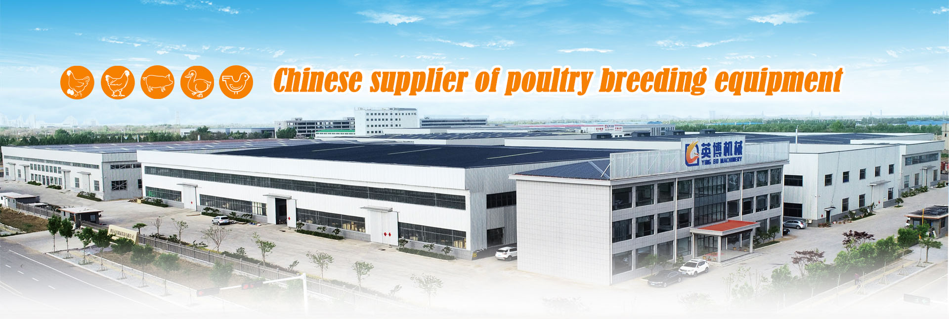 chinese supplier of poultry breeding equipment