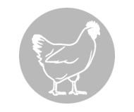 Broiler equipment