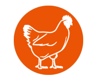 Broiler equipment