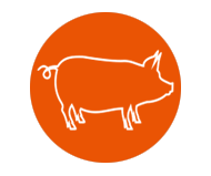 Pig equipment