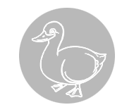 Duck equipment