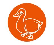 Duck equipment