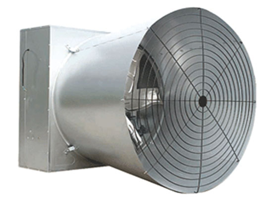Butterfly Cone Fan