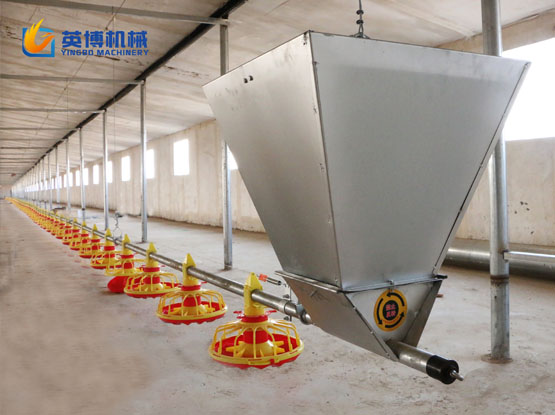 Broiler Pan Feeding Line