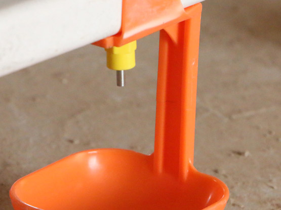 Broiler Nipple Drinking Line